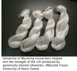 silk from genetically altered silkworms