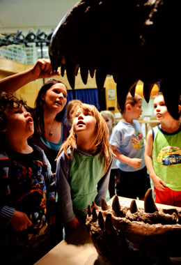 Children looking at dinosaur skull