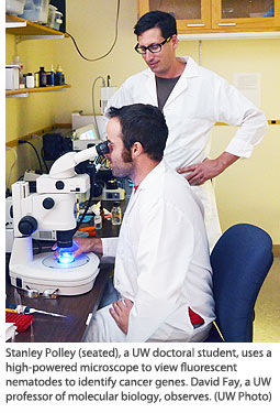 Stanley Polley (seated), a UW doctoral student, uses a high-powered microscope to view fluorescent nematodes to identify cancer genes. David Fay, a UW professor of molecular biology, observes. 