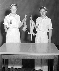 Two women holding poultry