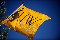 Yellow UW Pride flag