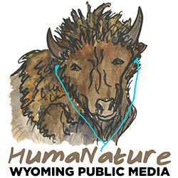 logo with buffalo