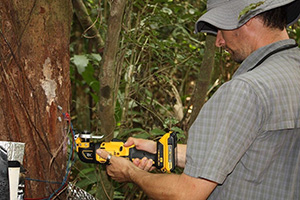 man using hand-held instrument on a tree