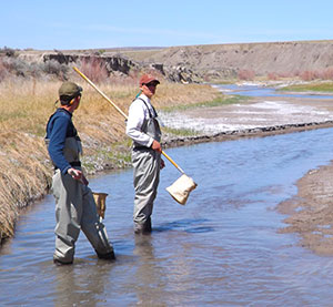 two people wearing waders and holding nets in a stream