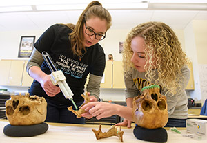 tow women working on human skulls