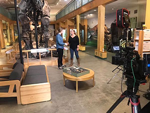 two people standing near dinosaur fossils