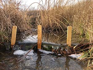 close up of small dam across stream