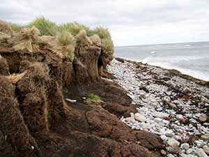 grassy bank