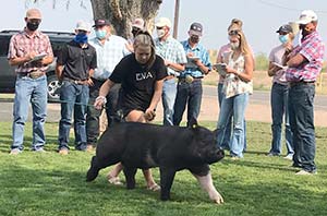 group of people around a large pig