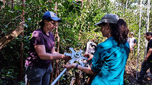 two people setting up equipment in tropical forest