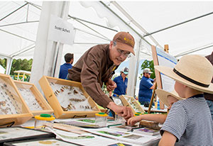 man talking to child looking at insect collection