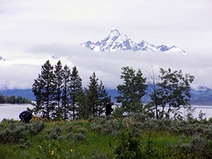 Two men take measurements in Grand Teton National Park.