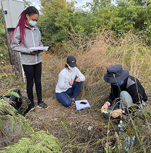 people conducting research in an outdoor area