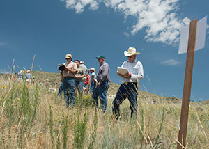 people in a field