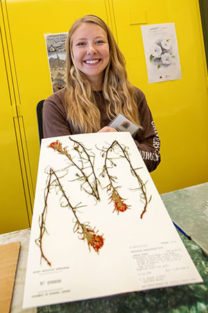 woman displaying mounted plant specimen