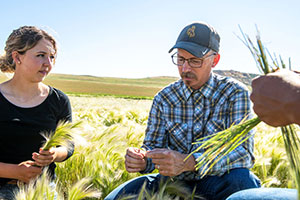 two people working with plants in a field