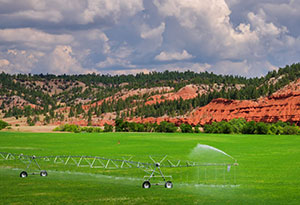 sprinkler irrigating field