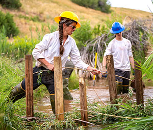 two people working in a stream