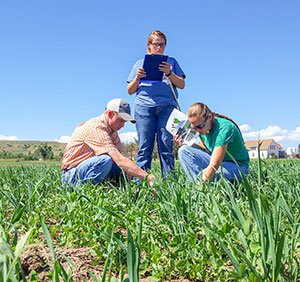 people in a field