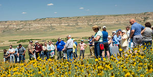 group of people outside in a field