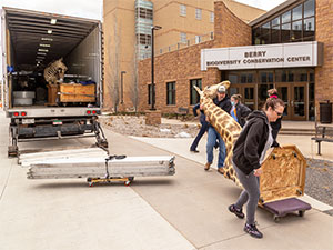 people carrying a taxidermied giraffe