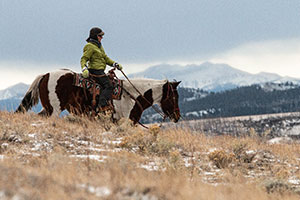 person riding a horse