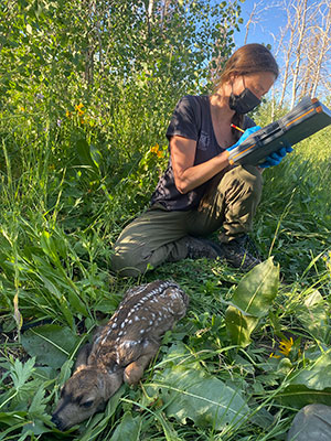 woman beside a fawn