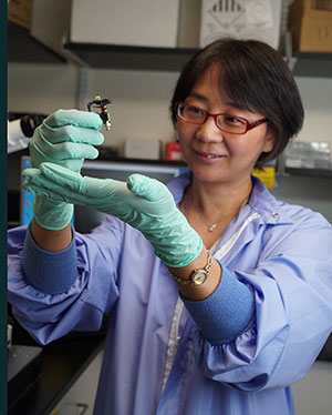 person working in a lab