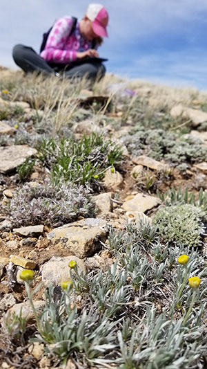 small flowers with person in the background