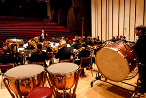 photo of a band from the back of the stage