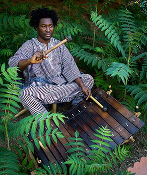 man sitting amid ferns with a wooden xylophone