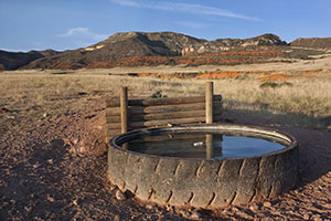 stock tank full of water in the brown prairie