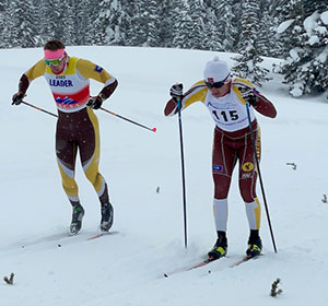 people Nordic skiing