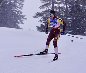 person Nordic skiing in snowfall