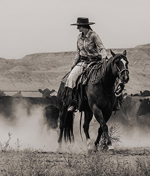 woman on horseback with cattle