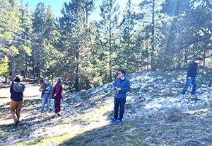 people walking in the woods