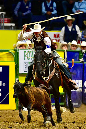 man on a horse roping a calf