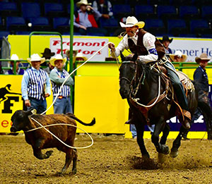 man on a horse roping a calf