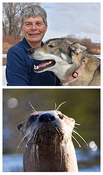 top photo of woman and dog, bottom photo of otter