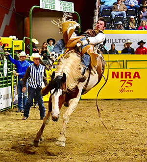 man riding a bucking bronco