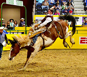 man riding a bucking horse