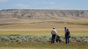 four people in a field