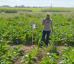 person standing in a field talking into a microphone