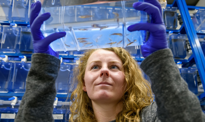 A researcher holds up a small fish tank.