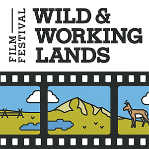 logo for film festival
