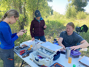 three people in a forested area around a folding table with equipment on it