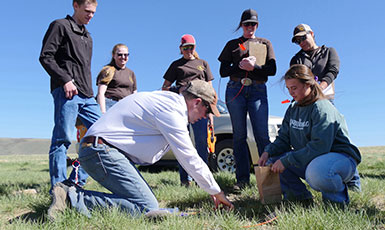 people examining something in a field