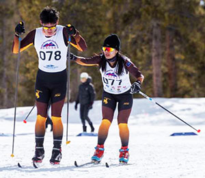 people cross-country skiing