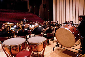 musicians seen from the back of the stage