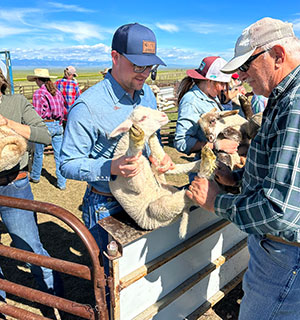 people holding a lamb